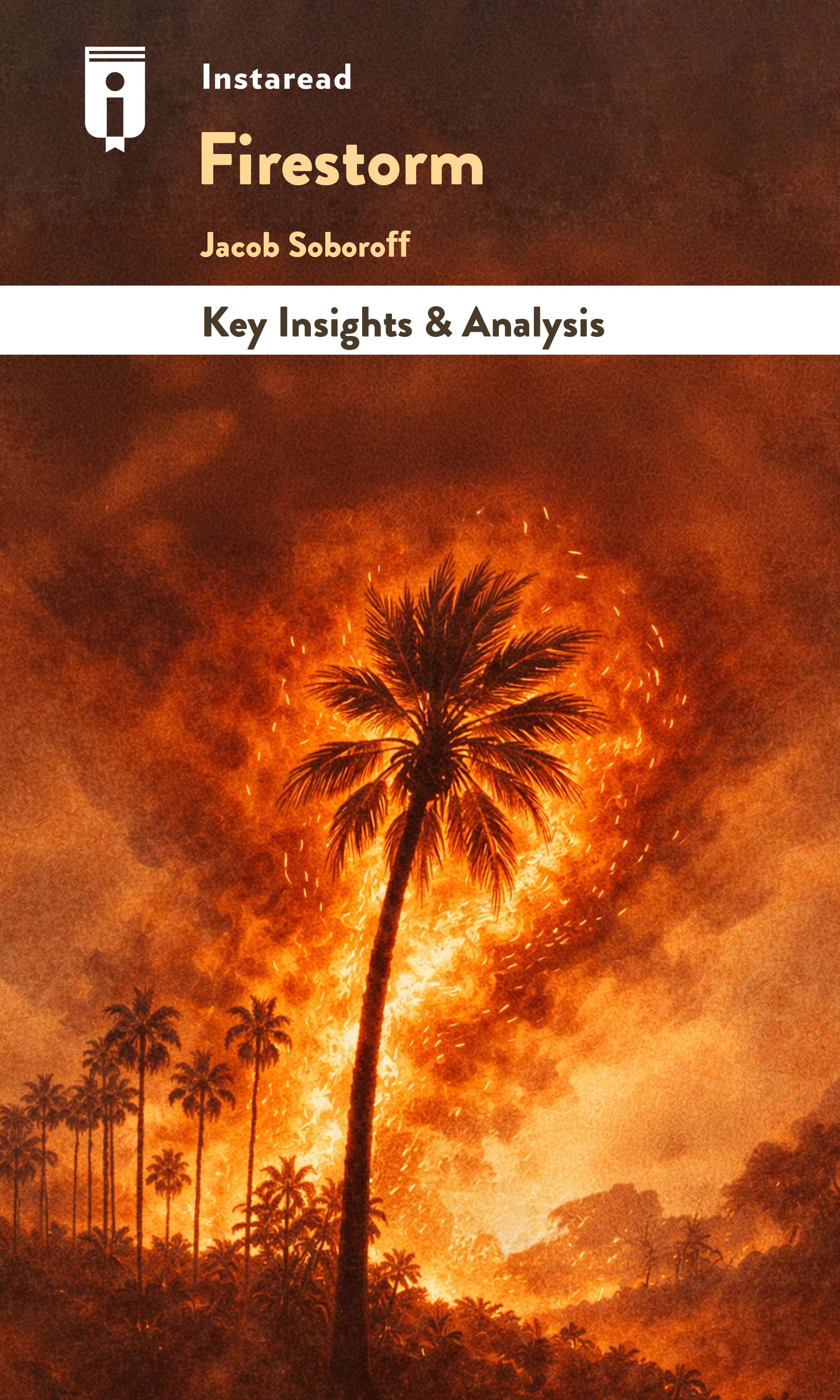 Book Cover for "Firestorm"