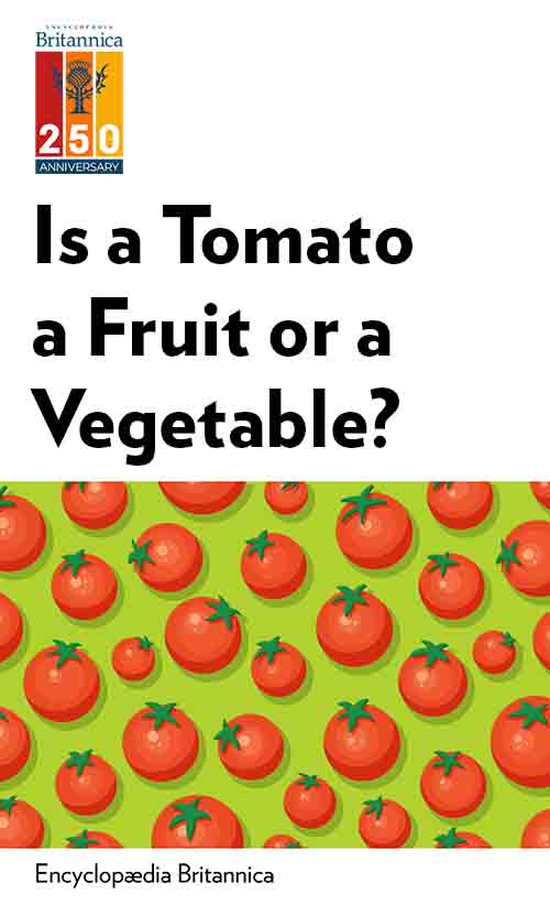 Is a Tomato a Fruit or a Vegetable? by Melissa Petruzzello Insights